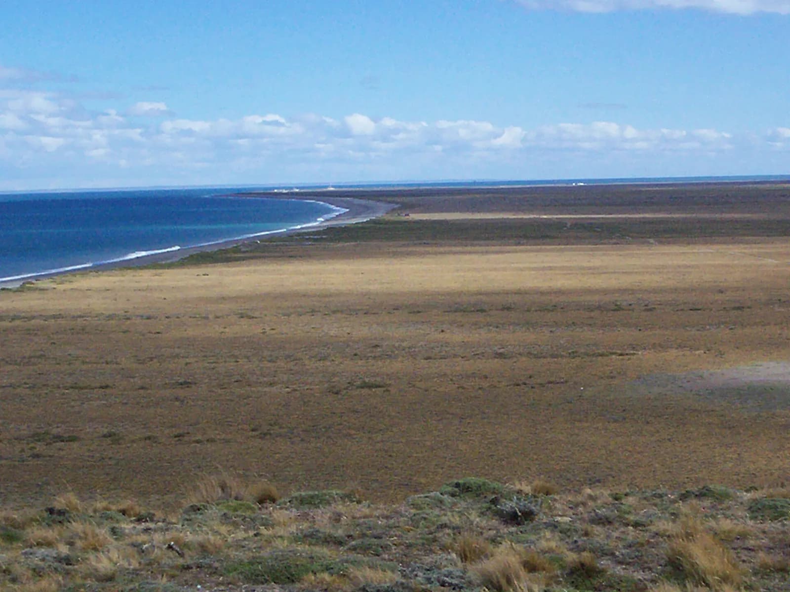 A flat plain of brown grass and low scrub runs to a curving shingle beach and a calm blue sea under a sky of small white clouds.