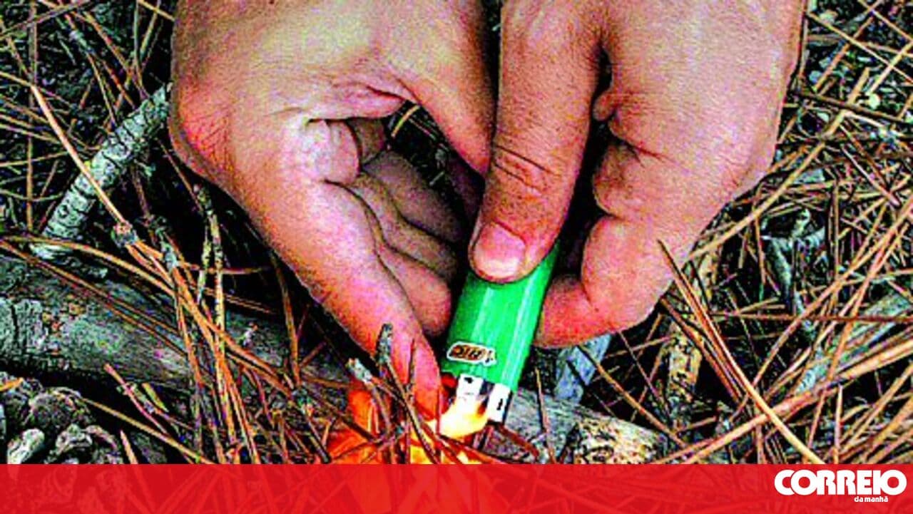 Forest fire suspect arrested in Gouveia