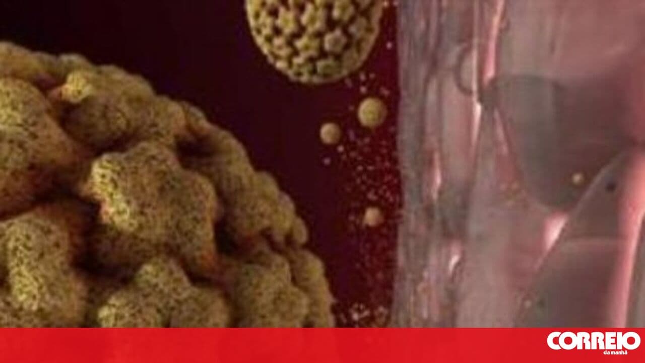 Évora Hospital pioneers the use of AI system to detect cervical cancer