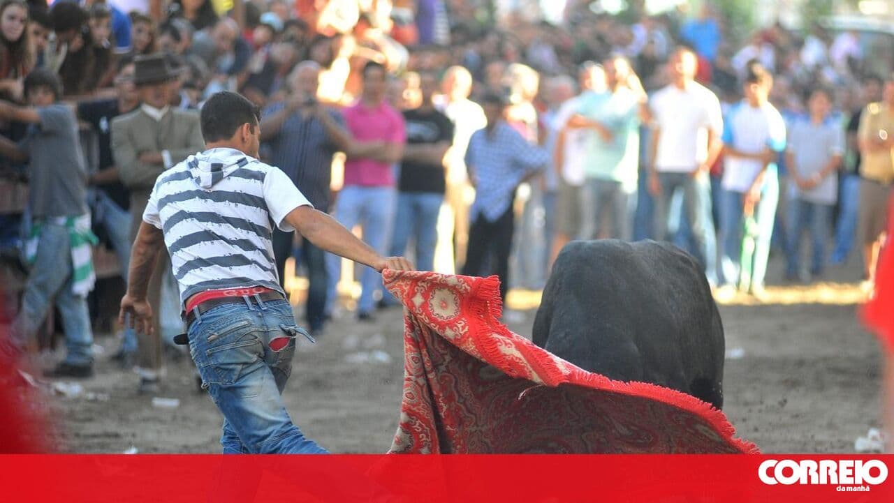 16 arrested this year at the Colete Encarnado Festival in Vila Franca de Xira