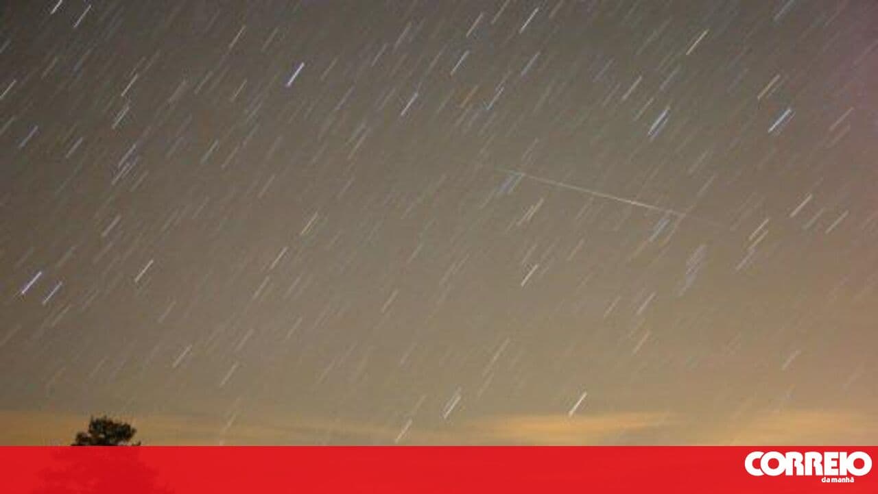 Look to the sky: meteor shower peaks early tomorrow morning