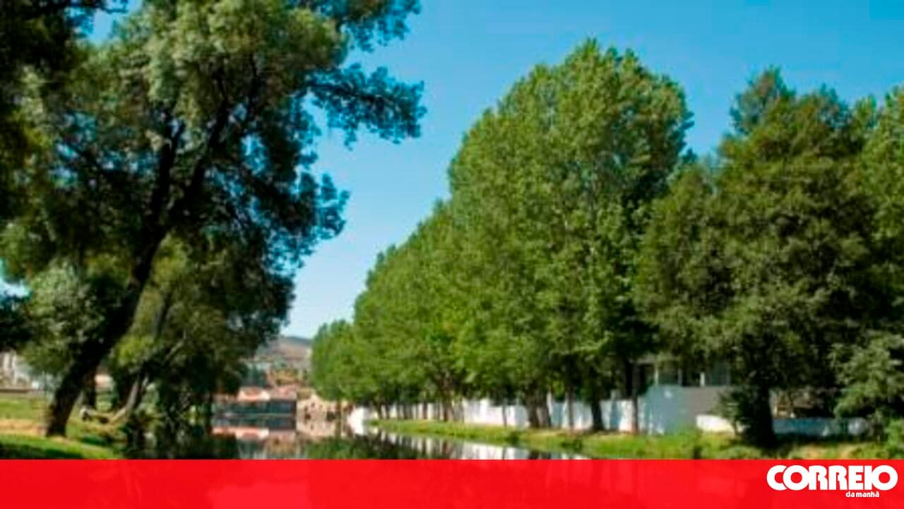Assessment of river health in Portugal is incomplete