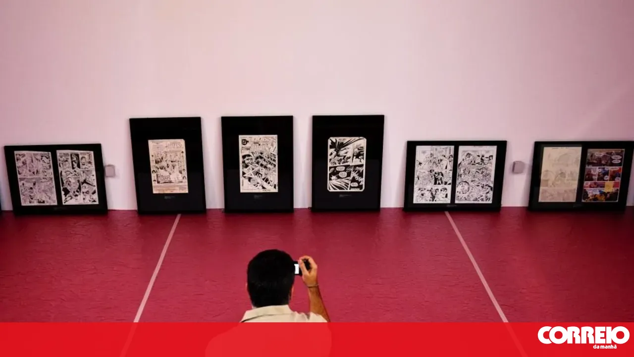Amadora BD starts today