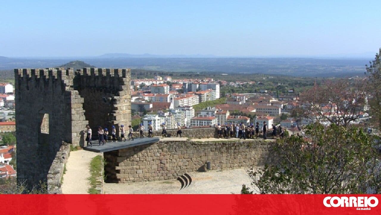 Castelo Branco invests 442 thousand euros in fuel management strips