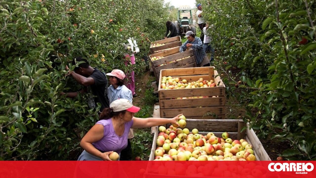 European Commission launches platform to attract more women to agriculture