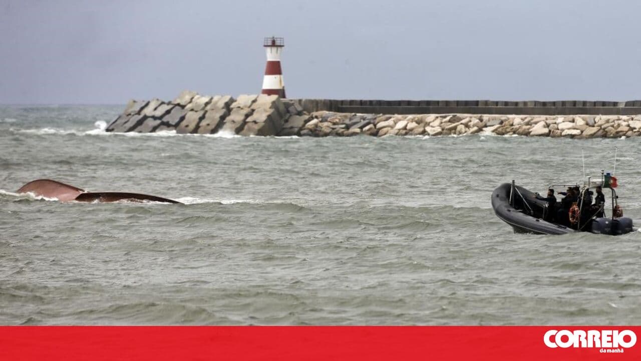 Lack of a salvage tug network runs counter to the country's maritime vocation