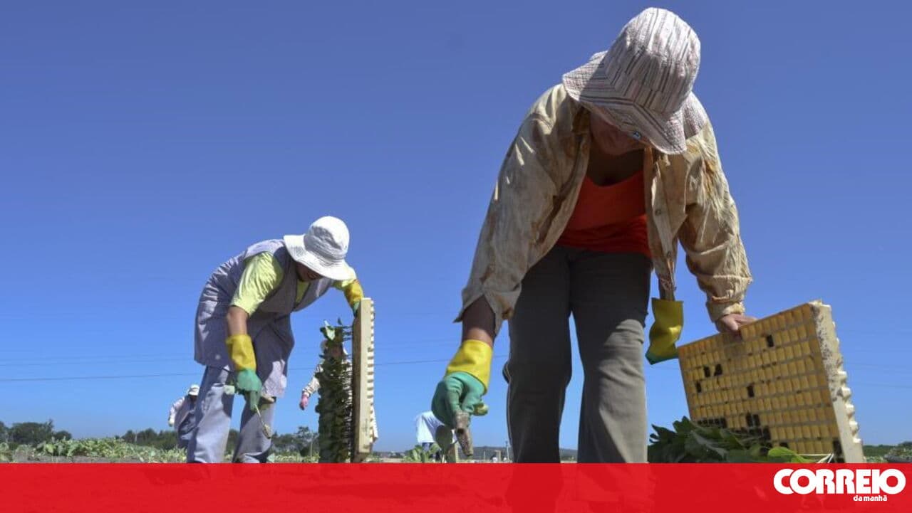 CNA considers that the RRP fell far short of what was needed for the agro-forestry sector