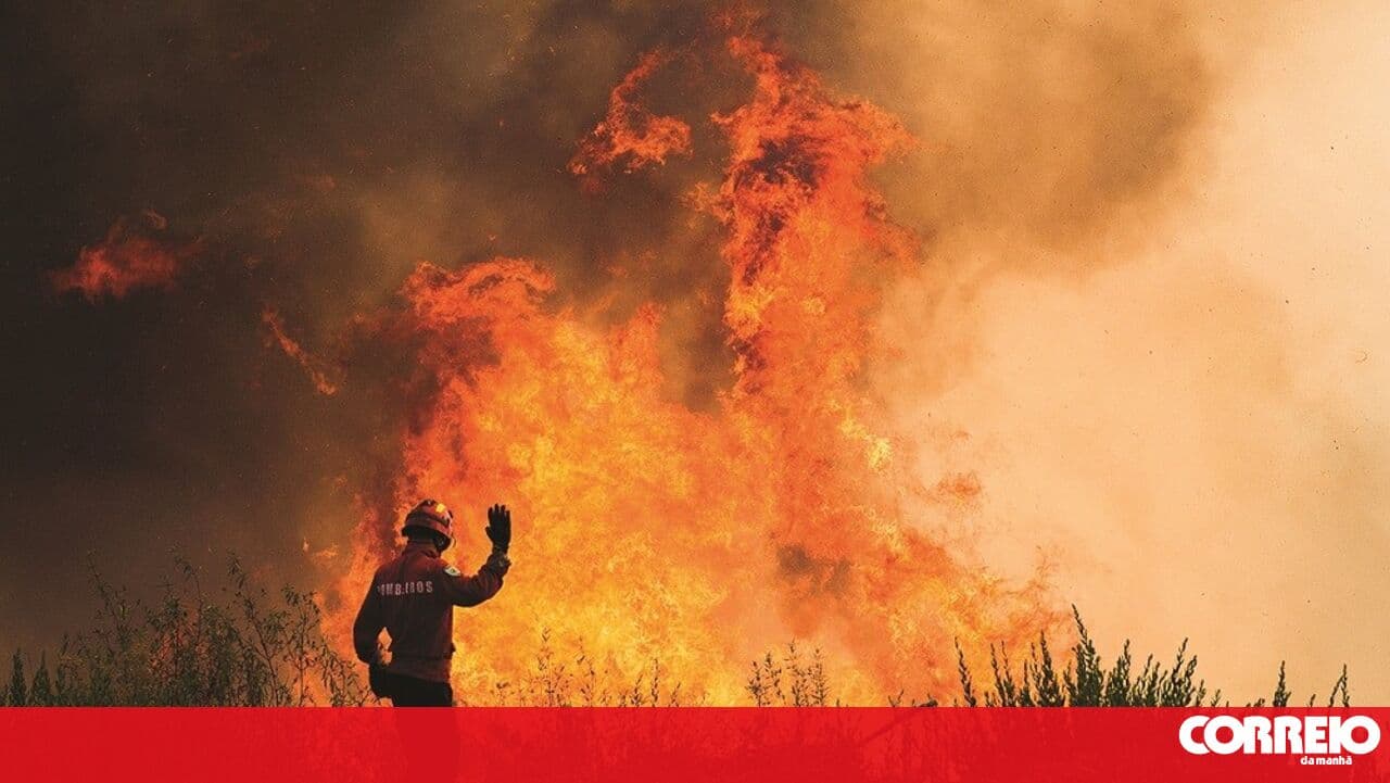 Satellites monitor forests in the Coimbra Region to prevent fires