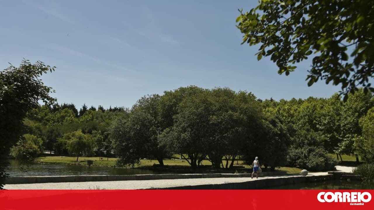 Porto City Council orders halt to construction near City Park due to 80 cm deviation