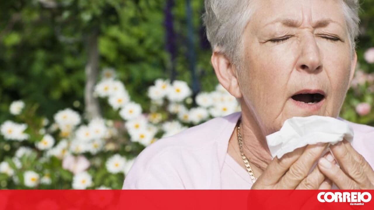Allergies are here to stay: pollen concentration in the atmosphere will remain high until the end of the month