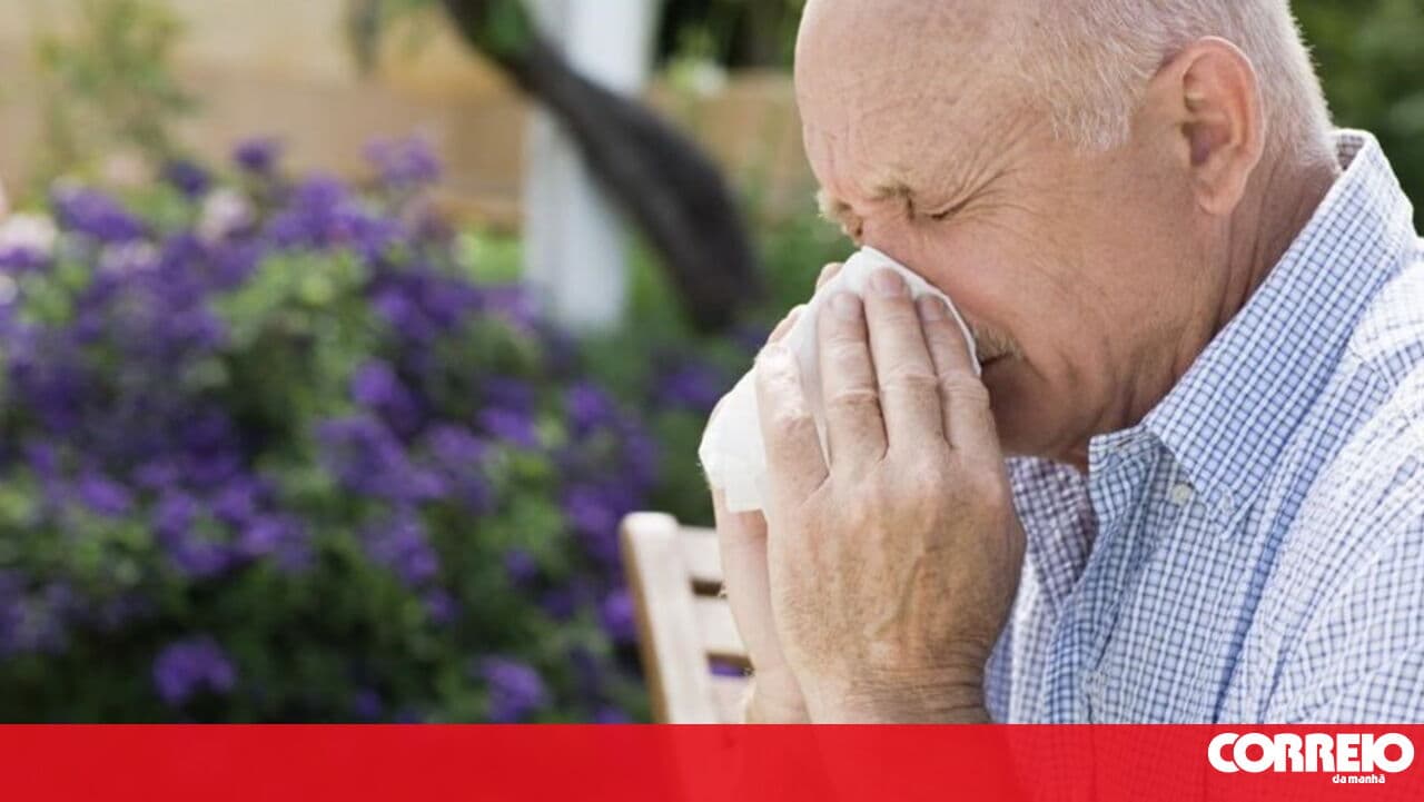 High pollen concentration in Lisbon, Alentejo and the Algarve