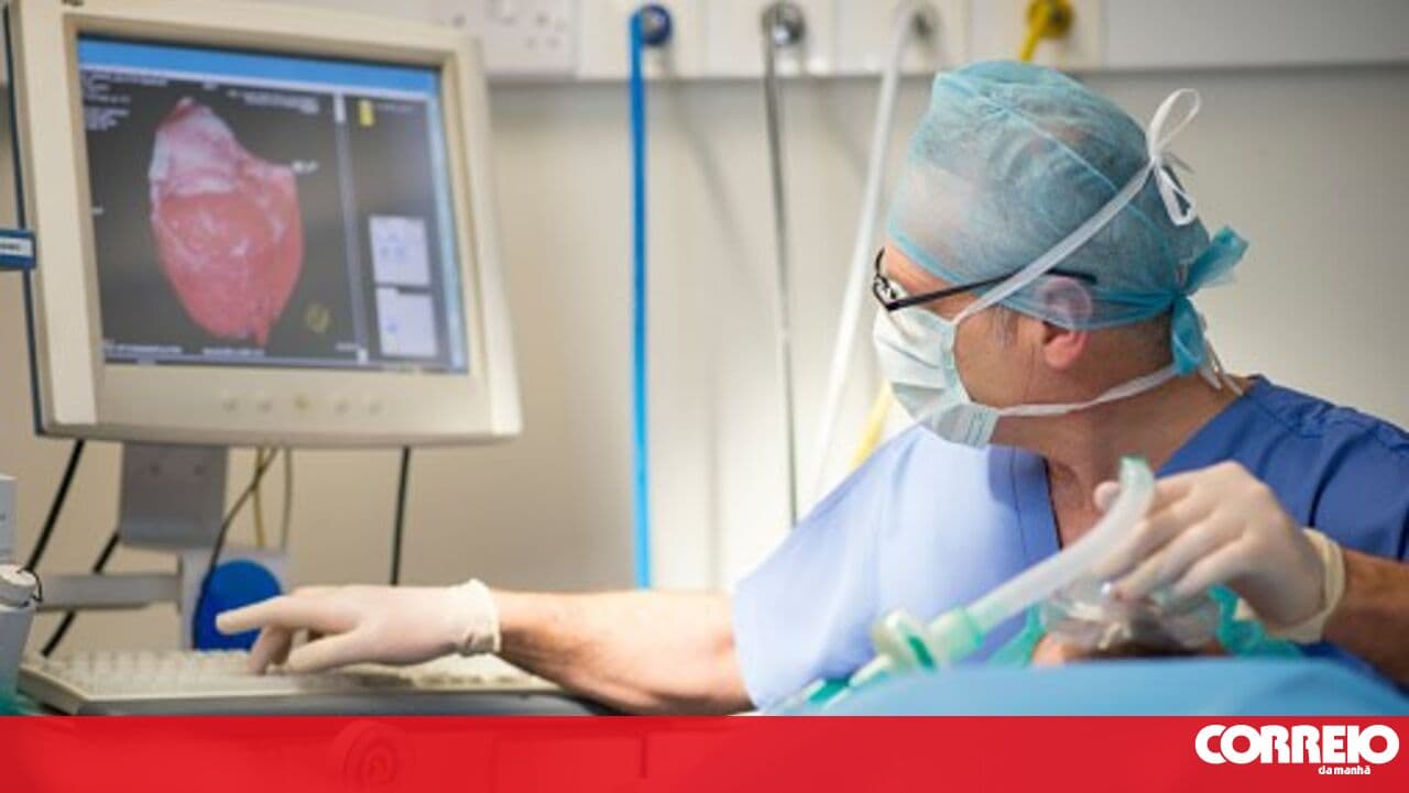 Beja Hospital innovates in the region with the first electrode-free pacemaker implant