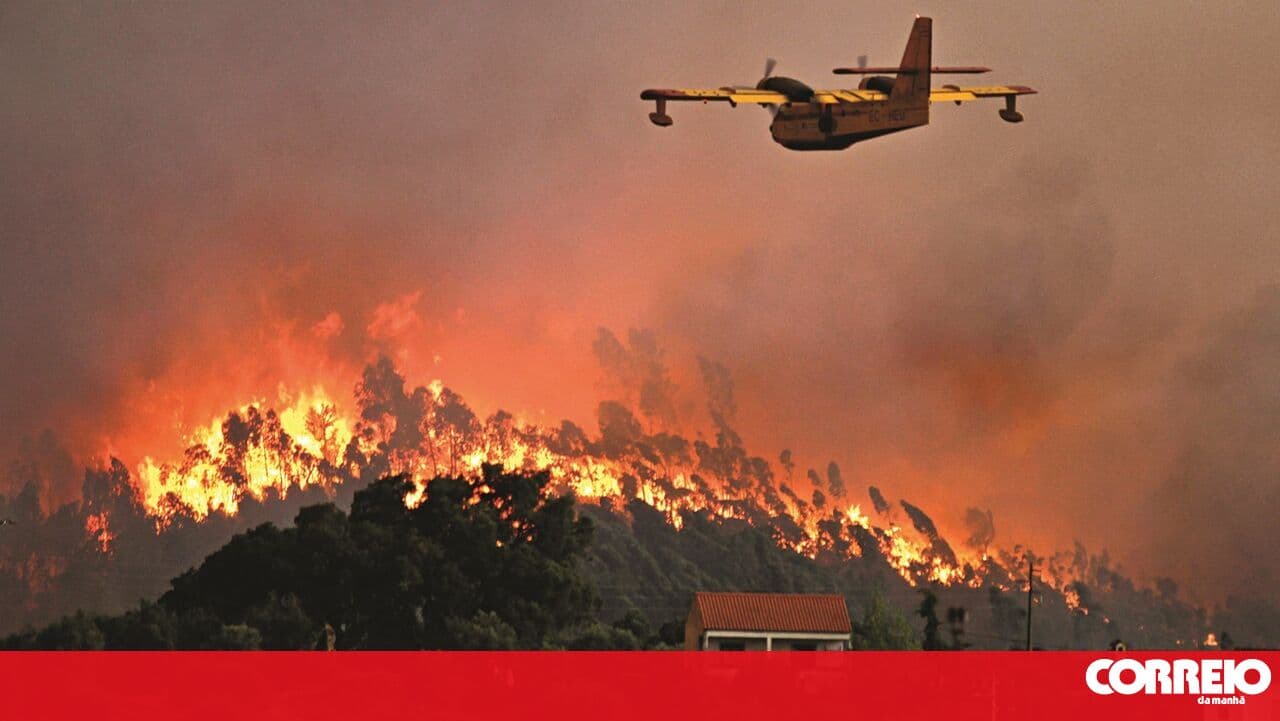 Madeira government believes second firefighting helicopter will begin operations this year
