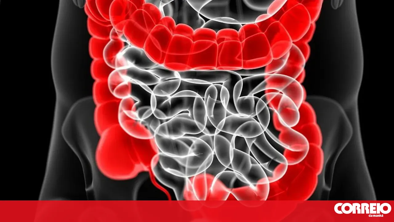 ULS Tâmega e Sousa now treats digestive cancer patients, avoiding travel
