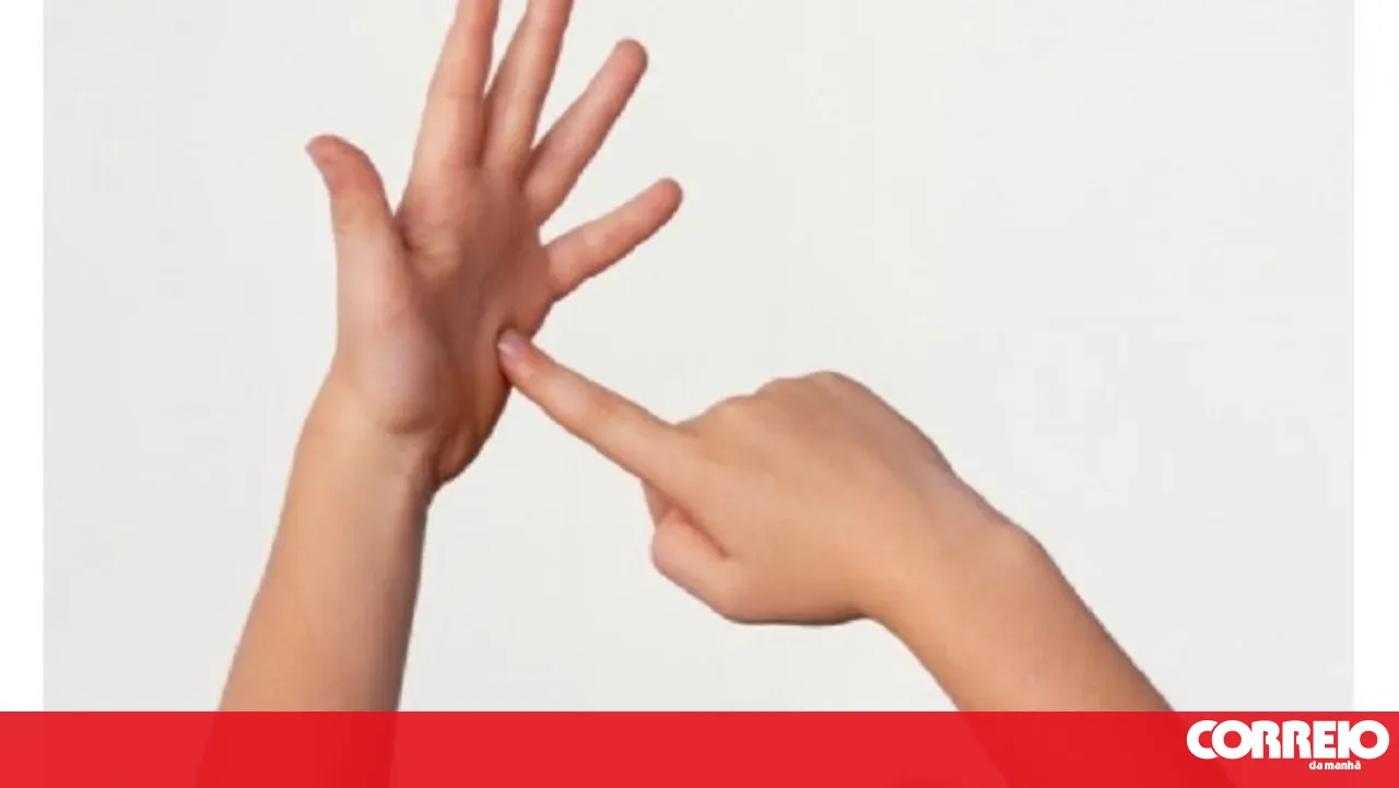 Deaf people have been without direct access to 112 for almost five years