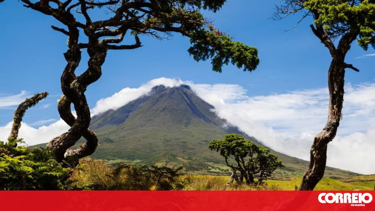 Strong winds cause damage to homes and businesses in Madalena on Pico island