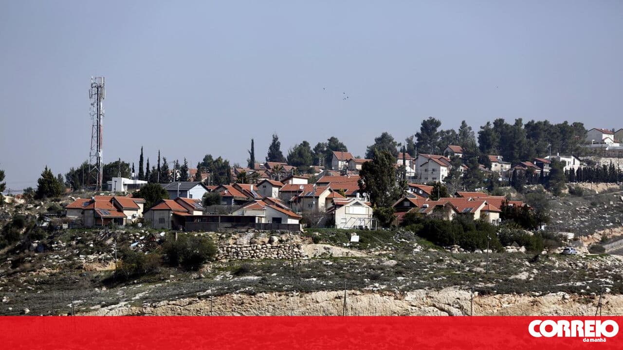 Portuguese activist allegedly beaten by Israeli settlers in the West Bank