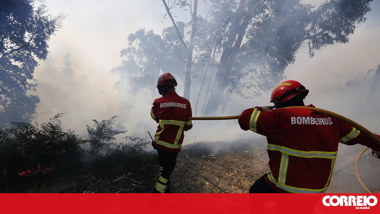 Section of the EN2 closed to traffic due to fire in the municipality of Aljustrel