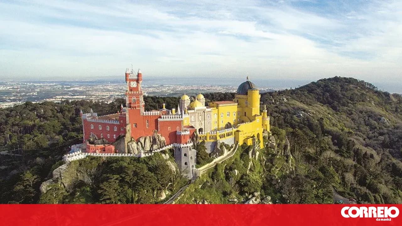 Felling of pine trees infected by fungus to cause traffic restrictions in Sintra