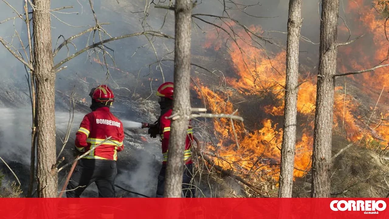 Four municipalities in the northern and central interior and the Algarve at maximum fire risk