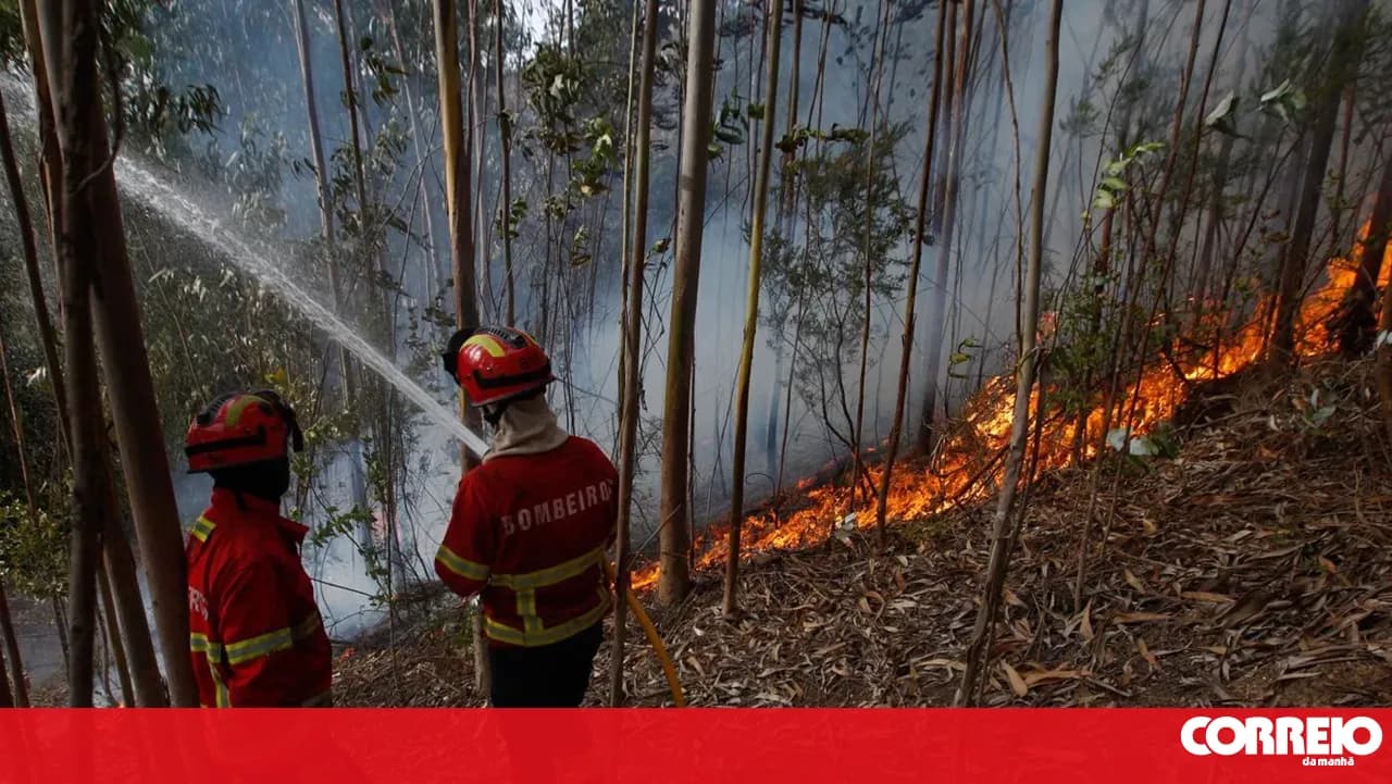 Agricultural and cleaning work are the main cause of fires in the Terras de Trás-os-Montes region, says Civil Protection