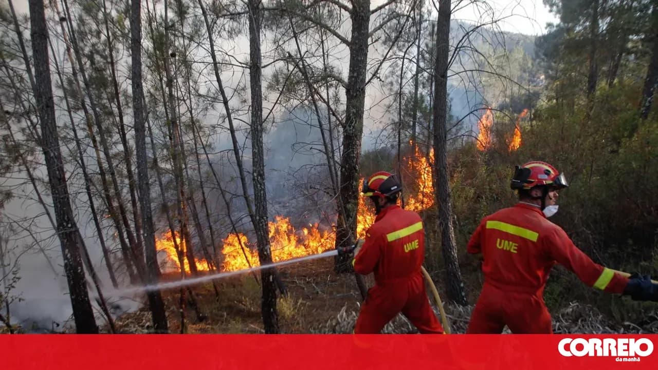 Controlled burns and slash-and-burn practices are the cause of most fires up to August 15
