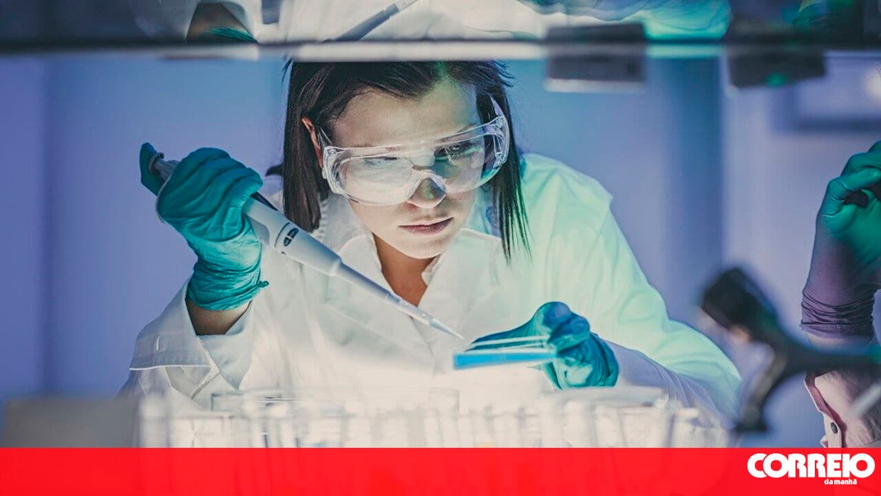 Portugal wins two more European Research Council grants