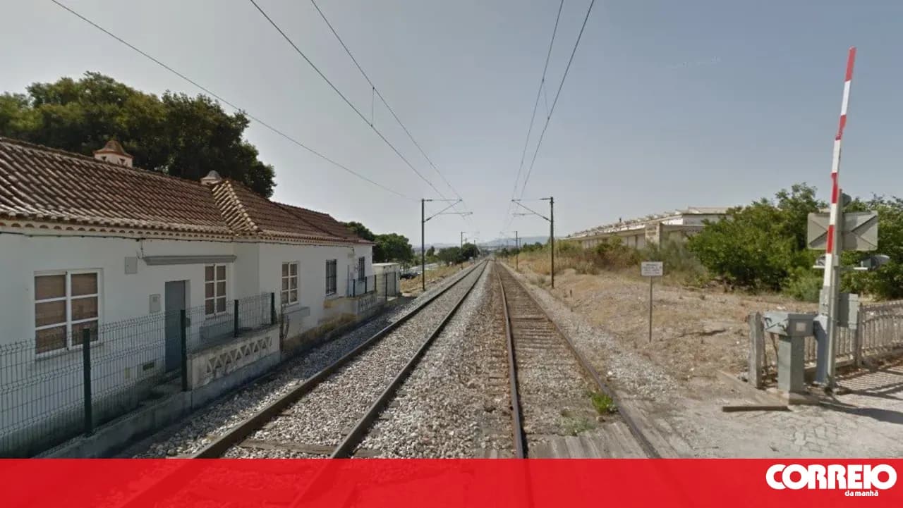 Beira Baixa line resumes circulation today on the Mouriscas-A to Ródão section