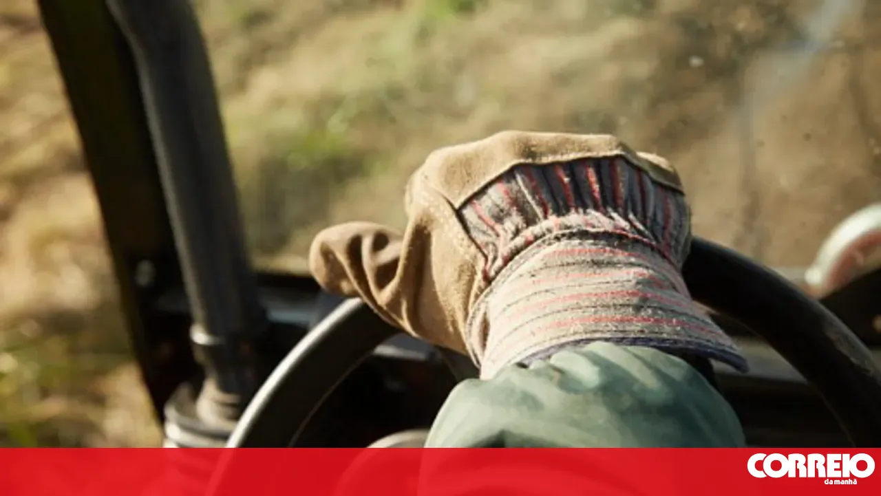 Government delivers tractors to six municipalities in the Médio Tejo region for fuel management