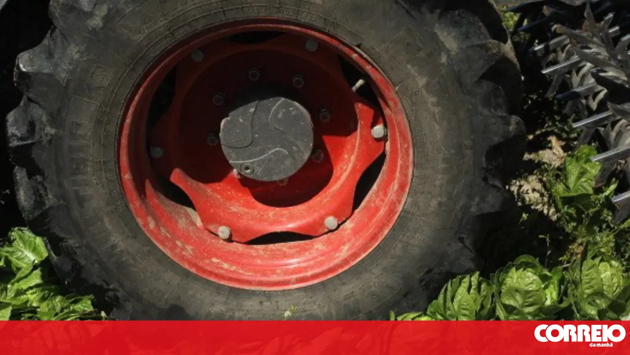 17-year-old dies in tractor rollover in Pinhel