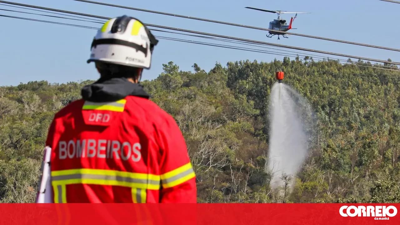 More than 50,000 fires in five years in Portugal