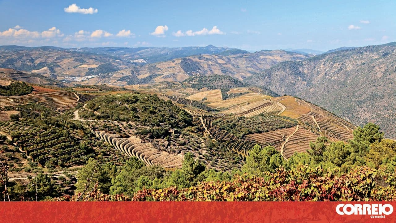 EU-Mercosur deal signed today creates the world’s largest free trade area