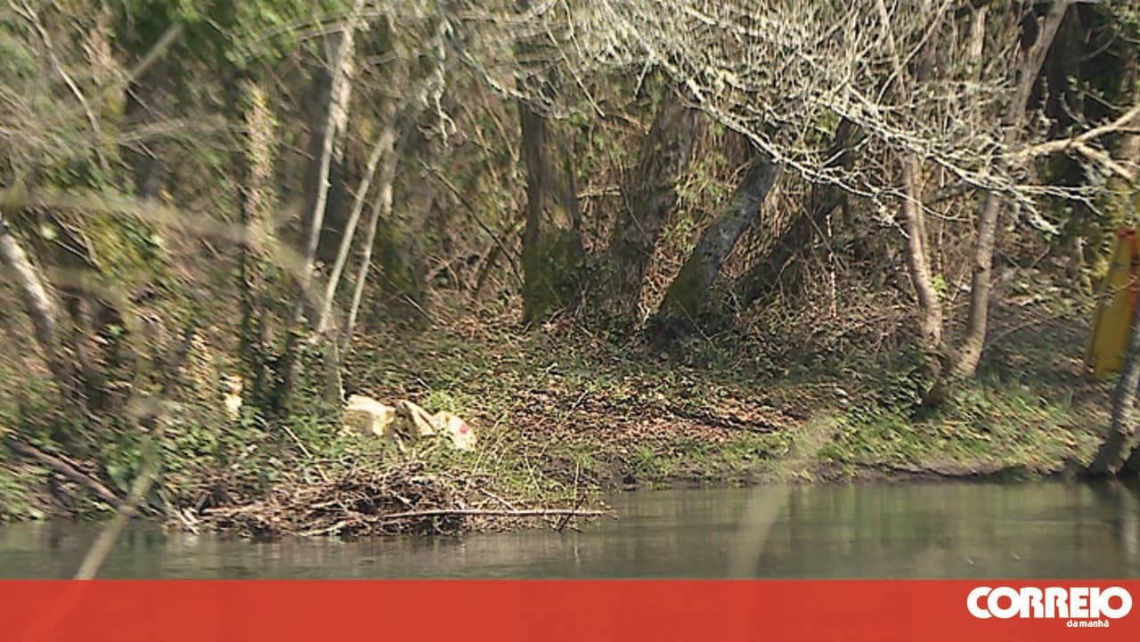 Traffic halted on the Roman Bridge in Caminha due to rising flow of the River Coura