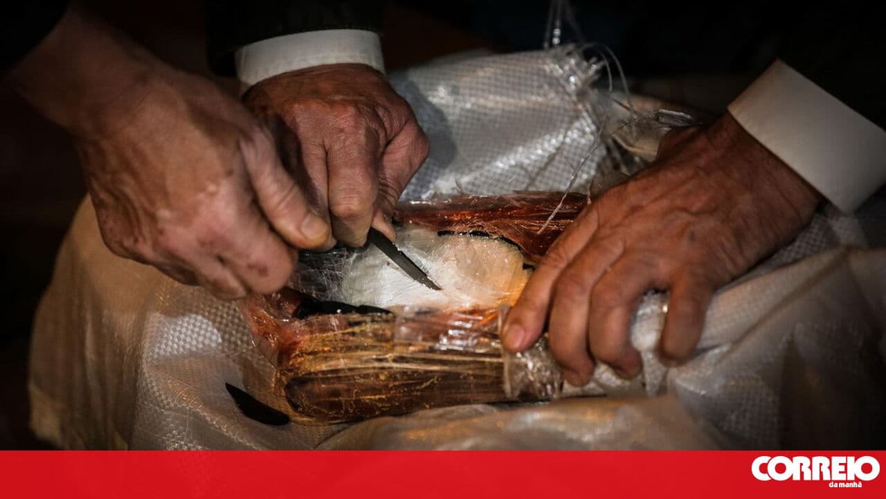 Braga PJ seizes one tonne of cocaine that entered Portugal by sea