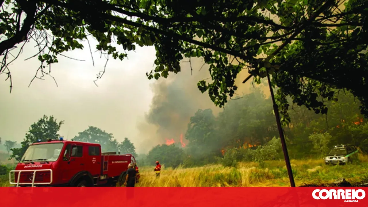 Uncontrolled burning leads to the arrest of an 89-year-old woman in Estarreja