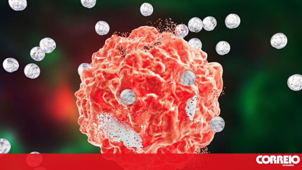 Research in Leiria aims to help diagnose cancerous skin lesions