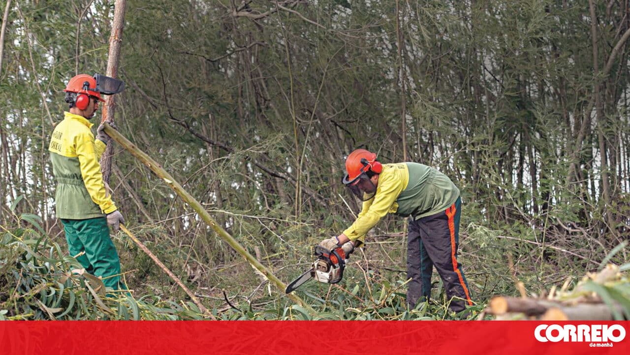 Quercus questions Government over delay in support vouchers for land clearing