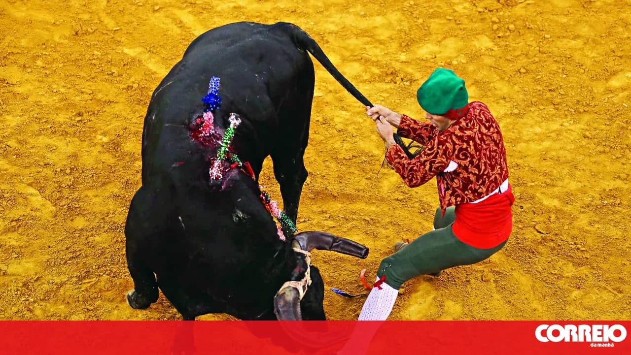 Animal Association contests the registration of bullfighting as intangible cultural heritage