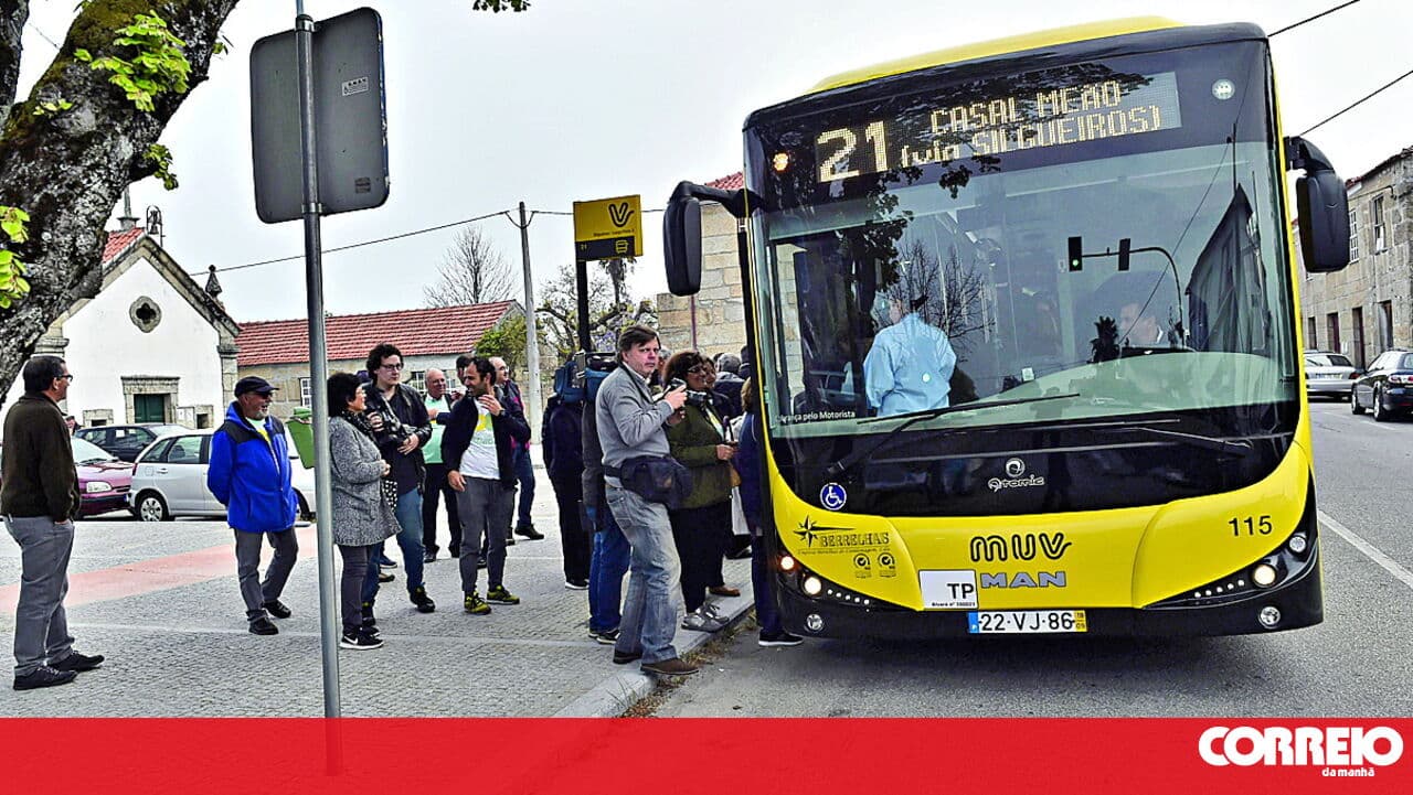 Viseu to have free public transport in the coming months