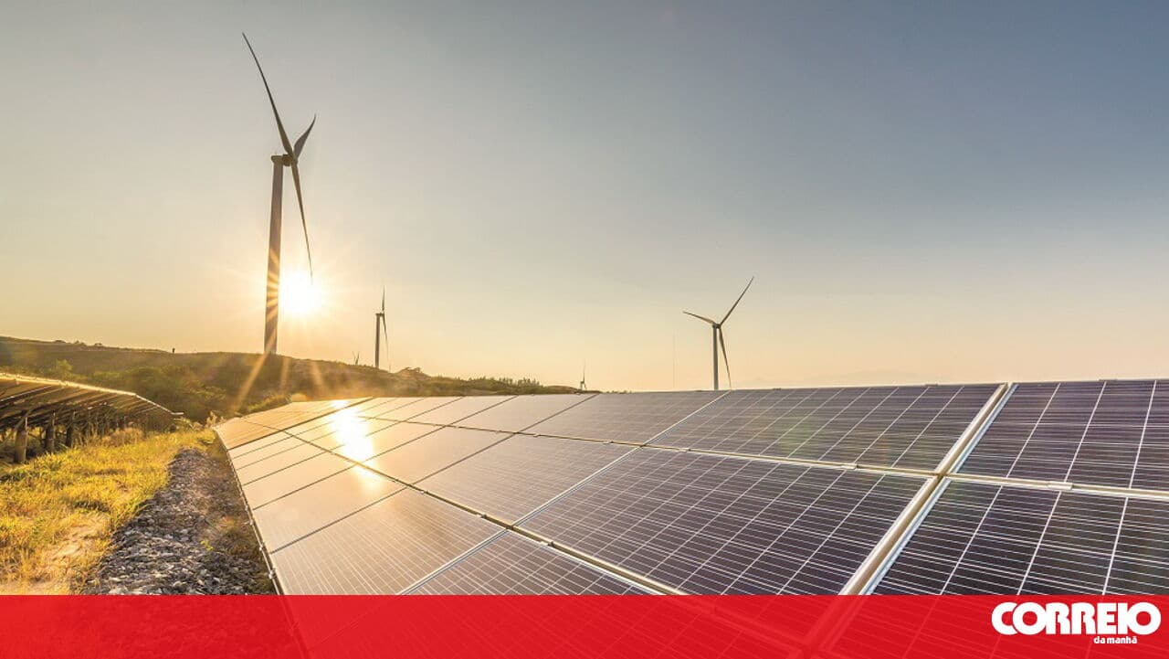 Renewables structure has new coordinator following controversial resignation