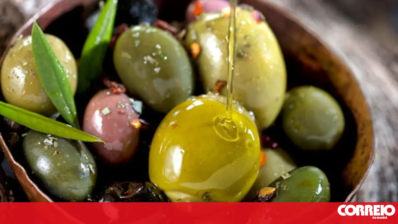 Tests in Brazil indicate classification issues in Portuguese olive oil brands