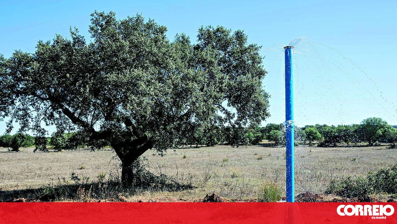 Restrictions on licensing new water boreholes lifted