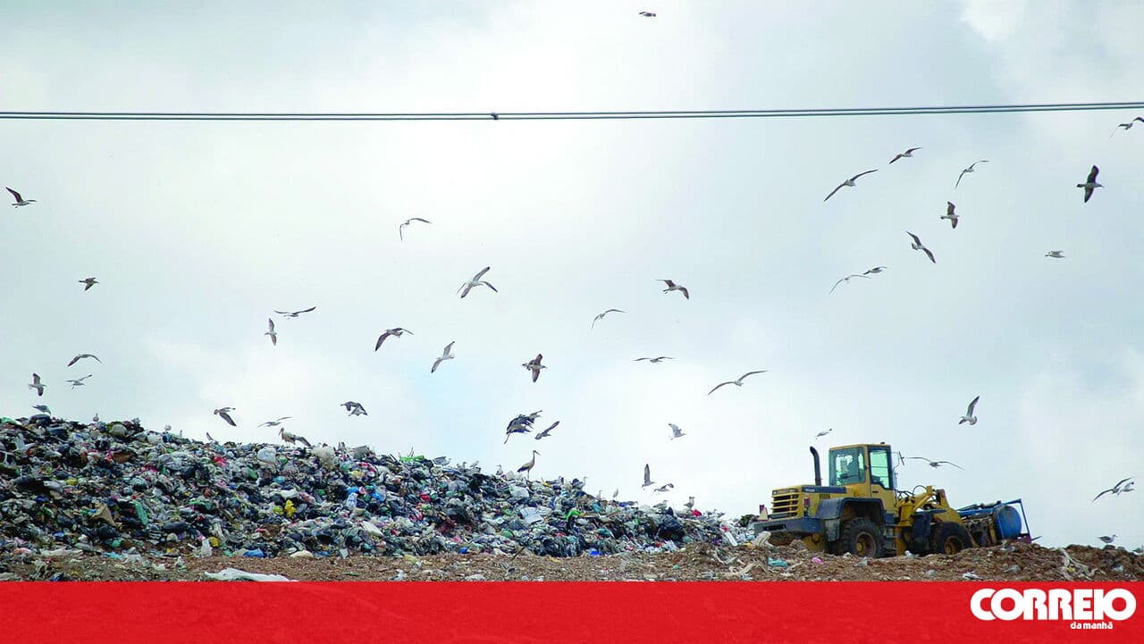 Three million tonnes of waste end up in landfills every year