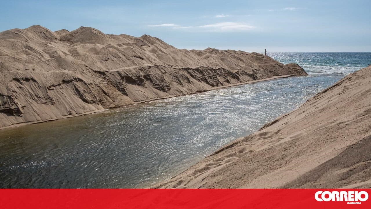 Almost a quarter of the world's wetlands have been lost since 1970