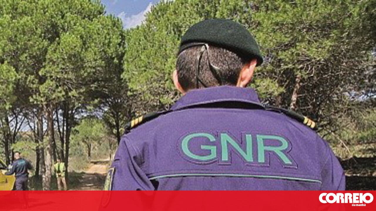 GNR arrested seven people and seized over 240 doses of drugs in Odemira