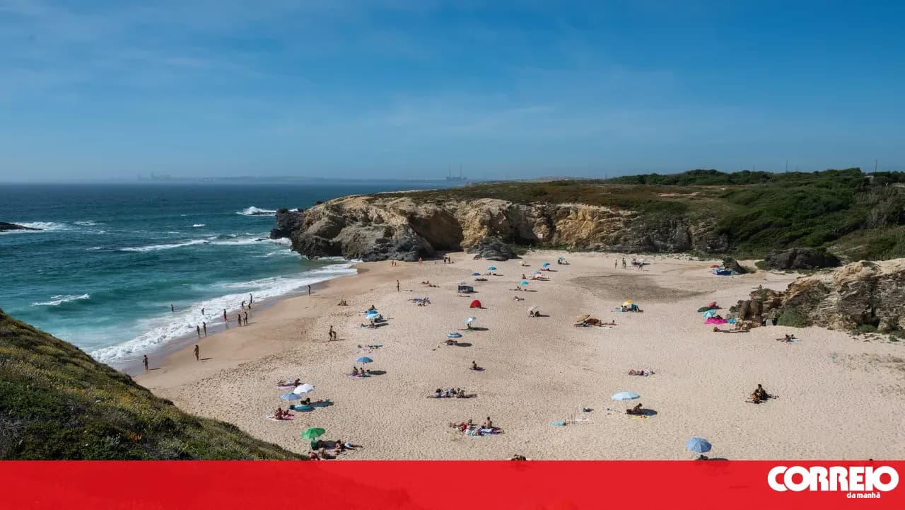 Invasive algae spreads along the Sines coast and threatens biodiversity