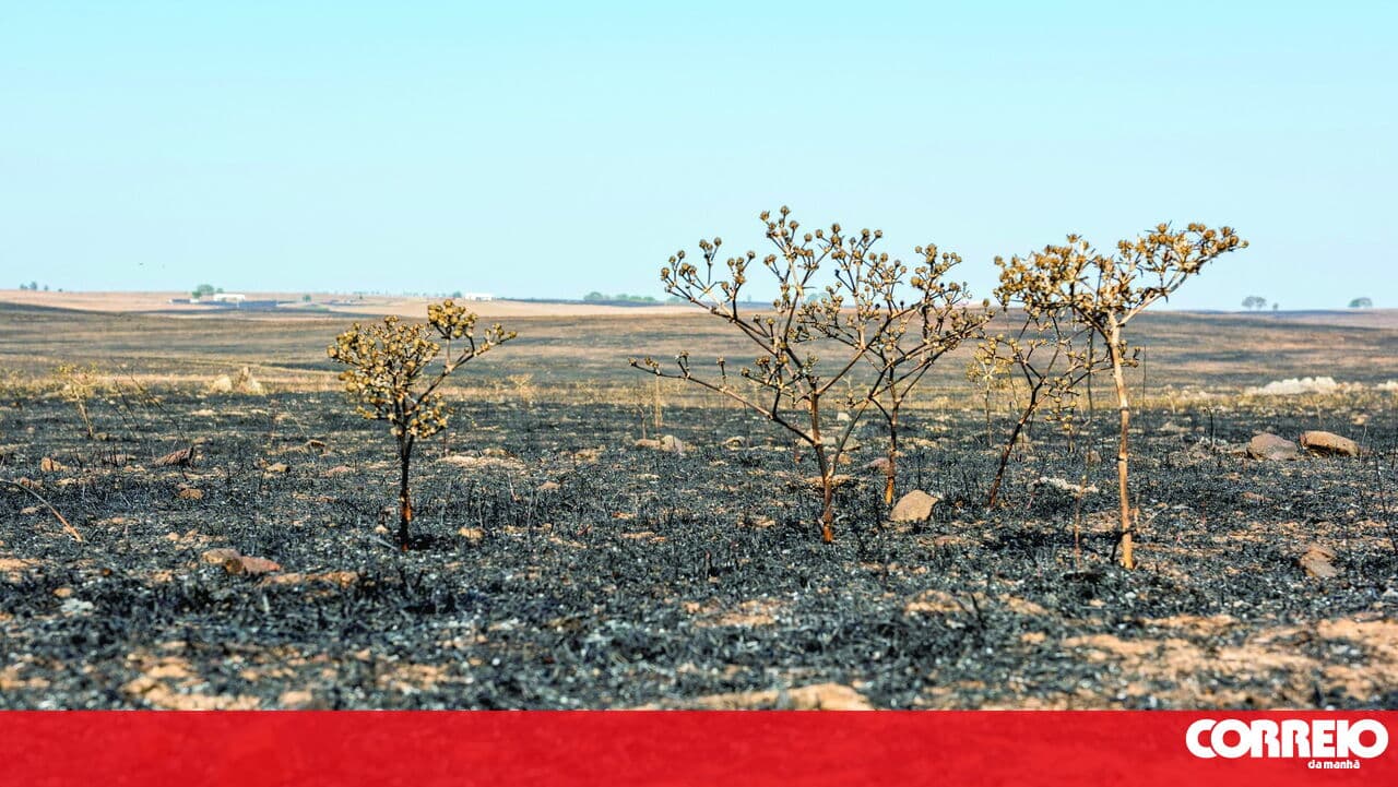 One third of Portuguese municipalities still without a Municipal Climate Action Plan