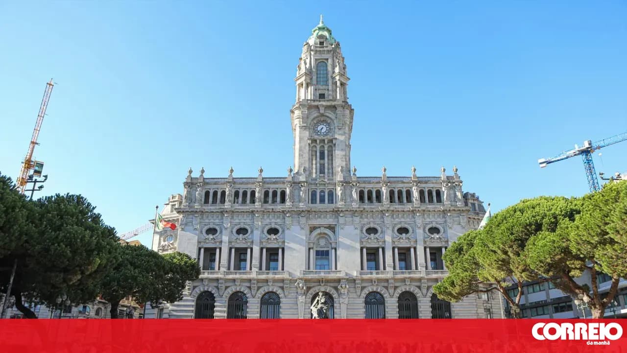 Porto City Council orders "urgent felling" of 19 trees on Avenida dos Aliados