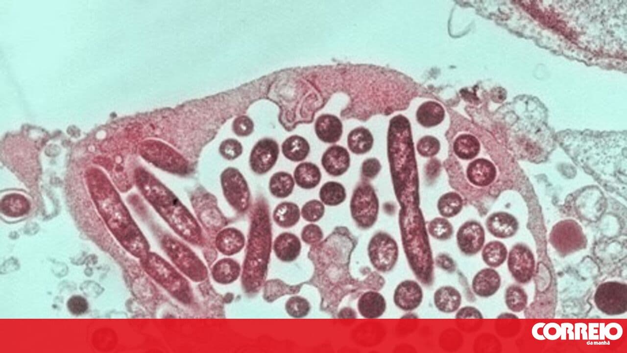 Presence of the bacterium Legionella closes Arronches municipal pool