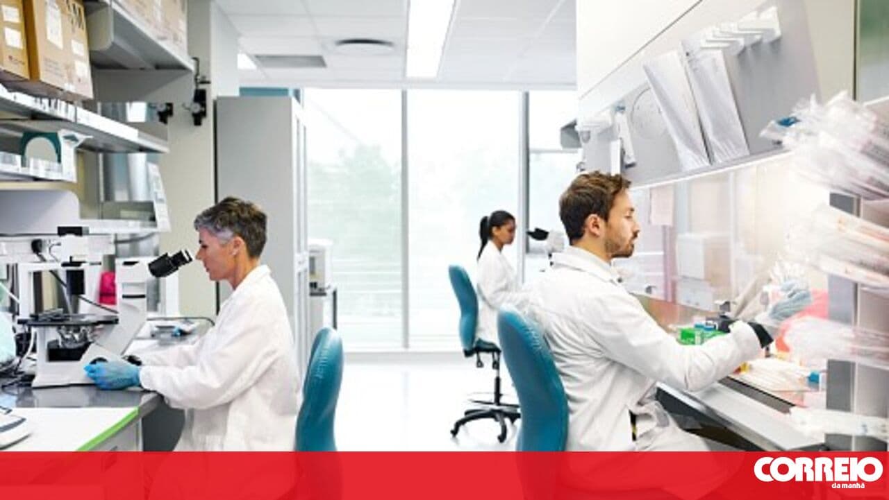 Researchers find resistant bacteria in livestock farms